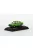 ABREX - 1:72 Skoda 120L (1984) - Light Green - Abrex