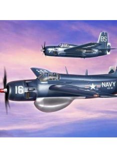 Ace - Grumman AF-2W Guardian