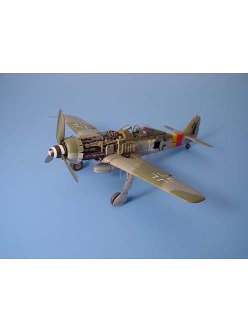 Aires - Focke-Wulf Fw-190 D-9 Super Detailset
