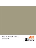 AK Interactive - Medium Sea Grey 17ml