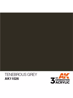 AK Interactive - Tenebrous Grey 17ml