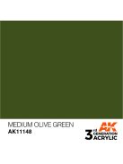 AK Interactive - Medium Olive Green 17ml