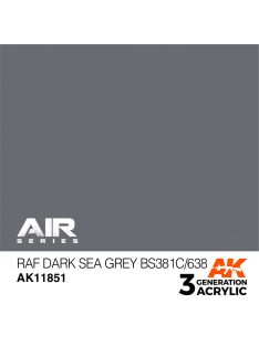 AK Interactive - RAF Dark Sea Grey BS381C/638