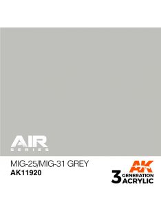 AK Interactive - MiG-25/MiG-31 Grey