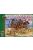 Alliance - Mounted Amazons (Set 2)