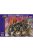 Alliance - War Trolls, Set 1