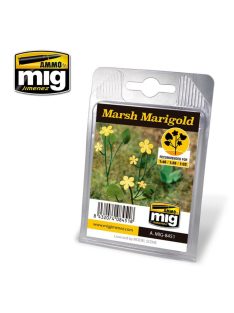 AMMO - Marsh Marigold