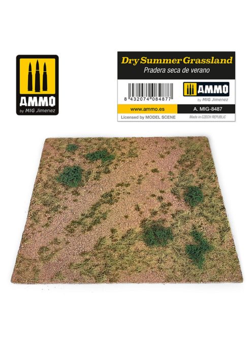 AMMO - Dry Summer Grassland