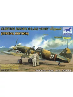 Curtiss Hawk 81-A2'AVG'(Special Edition