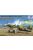 Curtiss Hawk 81-A2'AVG'(Special Edition