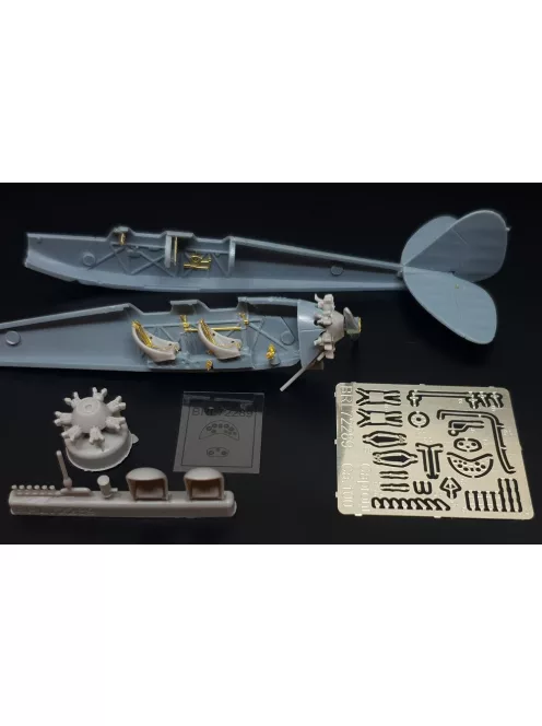 Brengun - Caproni Ca.100