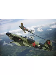   Brengun - 1/72 Yak 1b GC-3 Normandie plastic construction kit