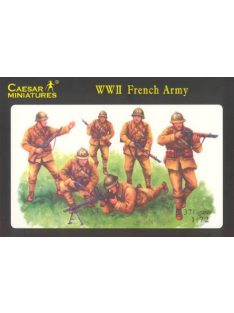 WWII French Army