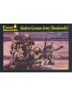 Modern German Army (Bundeswehr)