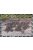 Caesar Miniatures - WWII Germans Army (Stalingrad)