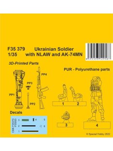 CMK - Ukranian Soldier with NLAW and AK-74MN