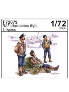 CMK - RAF Piloten