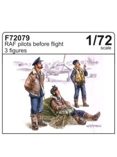 CMK - RAF Piloten