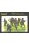 Caesar Miniatures - WWII German Army Set2