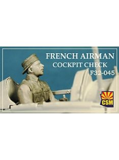 Copper State Models - 1/32 French airman cjckpit chek