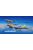 Eduard - Tales of Iwojima DUAL COMBO  EDUARD-LIMITED