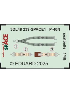 Eduard - P-40N seatbelts SPACE  EDUARD