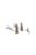 Eduard - B-17F undercarriage legs BRONZE 1/48