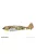 Eduard - Fw 190F-8 Profipack