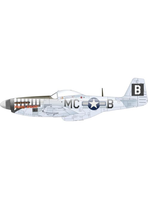 Eduard - P-51D-5 8th AF   EDUARD