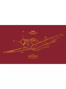 Eduard - P-51D MUSTANG DUAL COMBO  ROYAL CLASS
