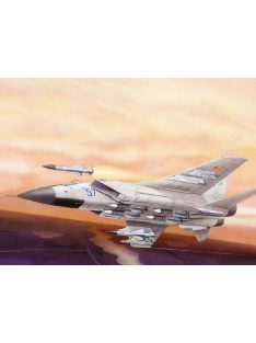   Eastern Express - MiG-31 BM "Foxhound" Russ jet intercep.