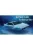 Fujimi - Lotus Esprit Bond Car Submarine plastic modelkit