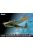 Lion Roar-GreatwallHobby - Me 323 D-1 "Gigant" WWII German Military Transport