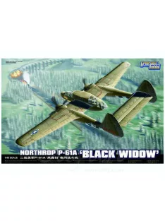   Lion Roar-Greatwallhobby - WWII USAAF Northrop P-61A'Black Widow'