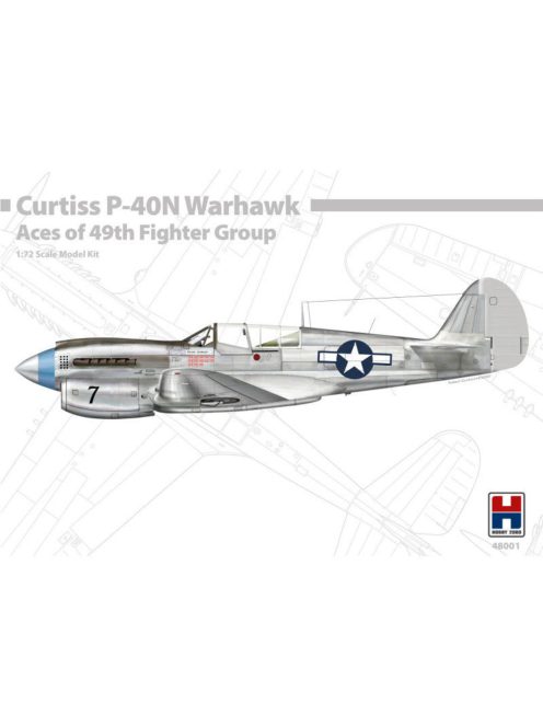 Hobby 2000 - P-40N Warhawk Aces of The 49th Fighter Group