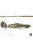 Hobby 2000 - Hawker Hurricane Mk.IIA