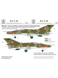 HAD models - MiG-21 UM5091 Dongó csillaggal