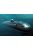 Hobbyboss - Soviet Navy Victor Iii Class Ssn