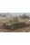 Hobbyboss - Soviet T-12 Medium Tank