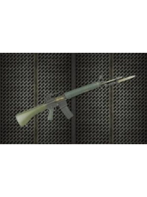 Hobby Fan - Resin arms R.O.C. T65k2 RIFLE
