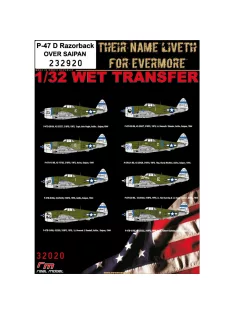   HGW Models - 1/32 P-47D Razorback over Saipan - Wet Transfers