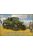 IBG Models - Scammel Pioneer Sv/2S Heavy Breakdown Tractor