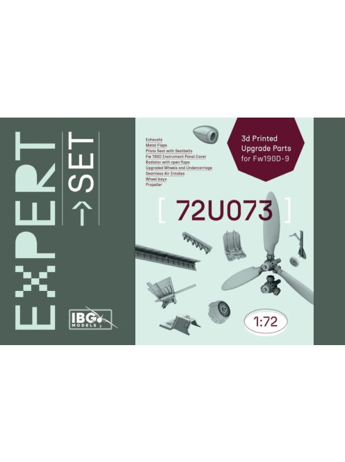 IBG - 1/72 Expert Set: Fw 190D-9