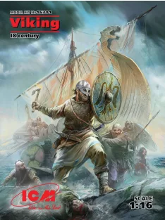 ICM - Viking IX century