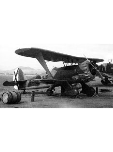 ICM - Hs 123A-1 Legion Condor