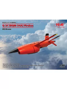   ICM - Q-2C (BQM-34A) Firebee, US Drone (2 airplanes and pilons) (100% new molds)