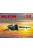 ICM - MiG-25 BM, Soviet Strike Aircraft