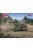 ICM - M3 Bradley, US Cavalry Fighting Vehicle