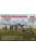 ICM - Airfield of the Luftwaffe bomber group