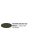 Italeri - Flat Olive Drab Ana 613 - Acrylic Paint (20 Ml)